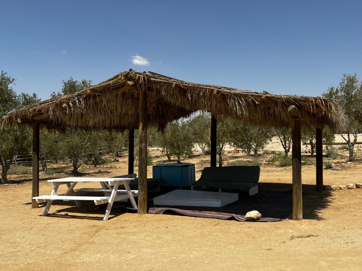 צימראוון בחוות זית המדבר Sede Boqer Buitenkant foto